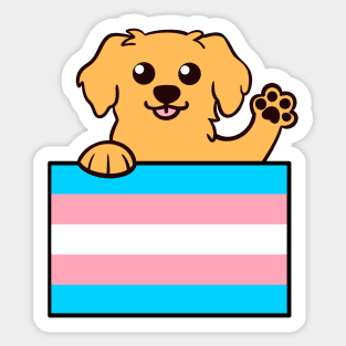 Love is Love Puppy - Golden Trans Pride Flag Sticker